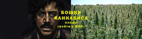 гашиш Касимов