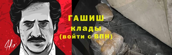 шишки Каменка