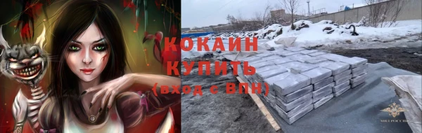 не бодяженный Каменногорск